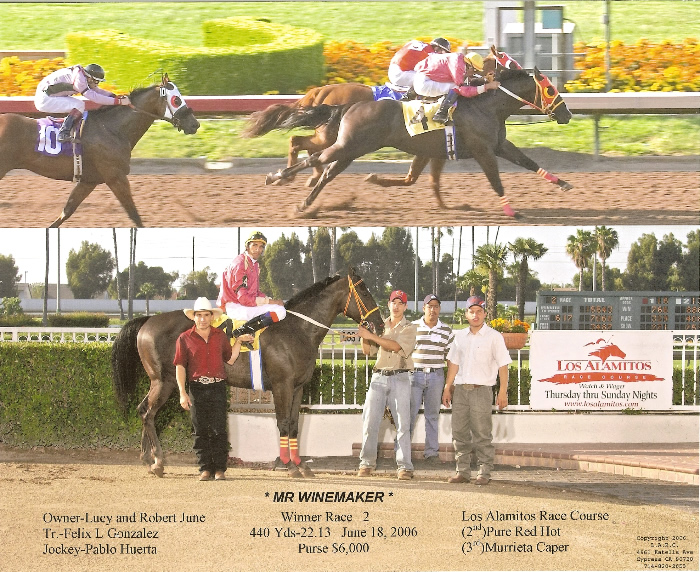 Custom Equine Design